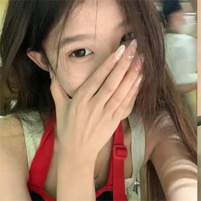 最后的维米尔